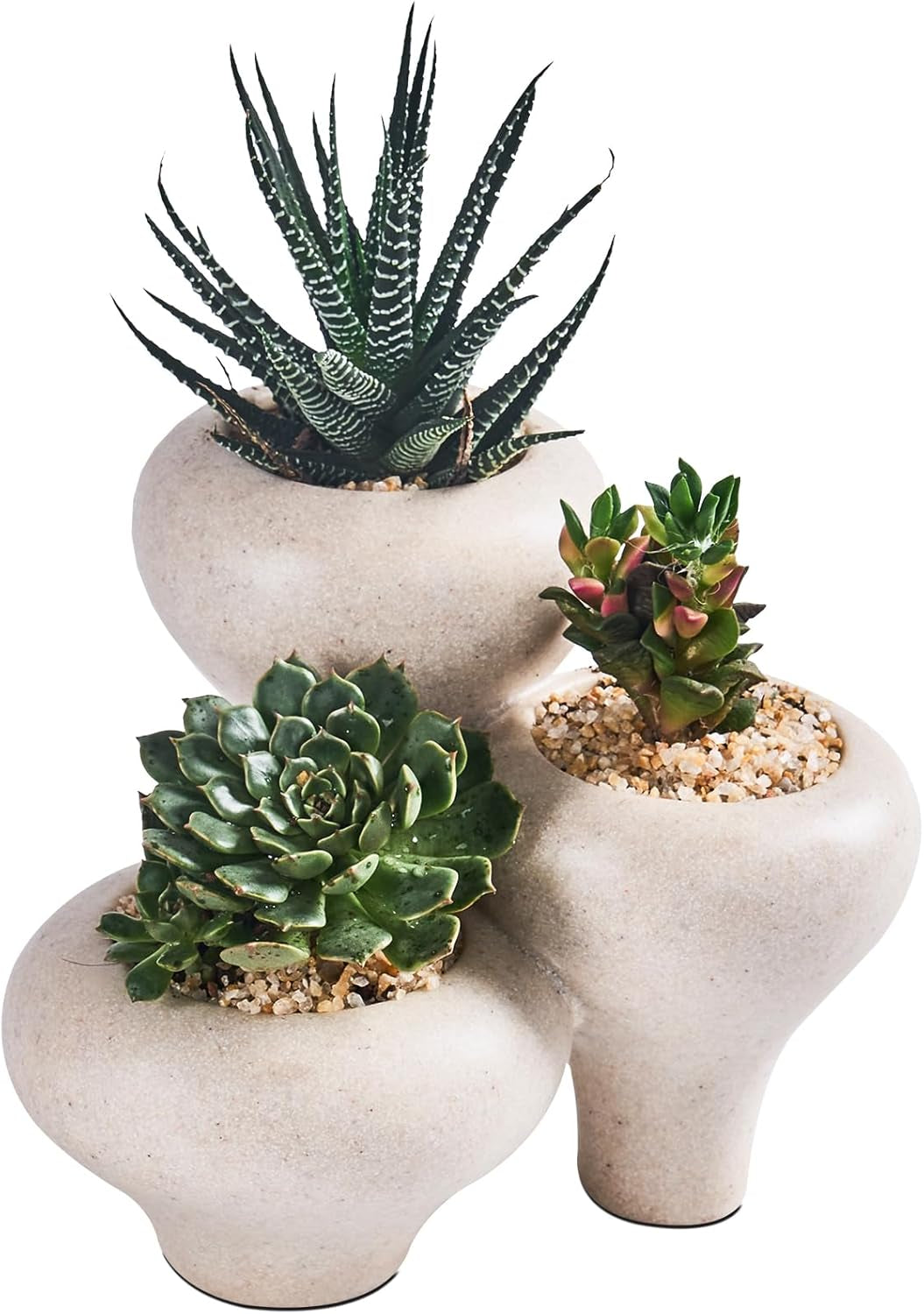 Beige Sandstone 3-In-1 Small Succulent Pots, Indoor Succulent Planters, Cute Cactus Bonsai Flowers Pots for Home Decor, Office, Garden Mini Cactus Plant Pot Modern Decorative, Gift