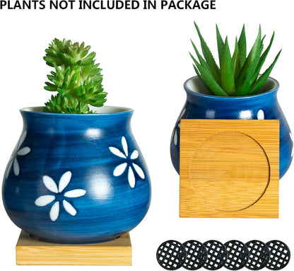 Cute Succulent Pots with Drainage Bamboo Tray - 3" Succulent Planters with Drainage Hole Ceramic Planter Tiny Pots for Indoor Small Plants, Small Pots for Succulents Cactus Container Set of 6