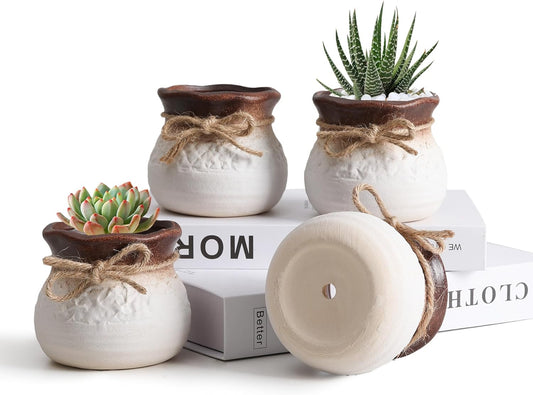 Succulent Pots with Drainage Hole, 3.5 Inch Small Ceramic Pots, Small Cactus Pots for Plants Indoor, Cute Succulent Planters, Succulent Gift for Women, Mom, Plant Lover, Home Decor