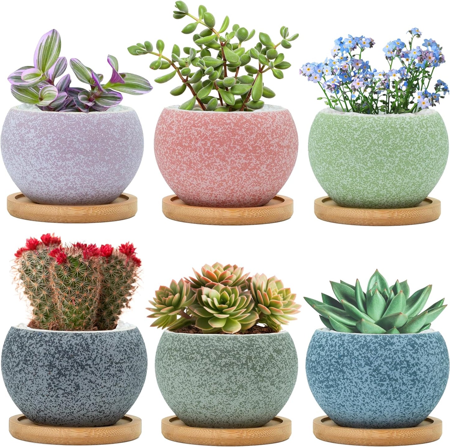 3 Inch Ceramic Pots for Plants, Small Succulent Pots Set with Drainage, 6 Pack Flower Pot for Indoor Plant, Decorative Planters for Little or Mini Cactus