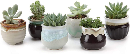 Small Ceramic Succulent Pots with Drainage Set of 6, Mini Pots for Plants, Plant Lover Gifts for Women, Tiny Air Plant Flower Pots Cactus Faux Plants Containers, Home and Office Decor