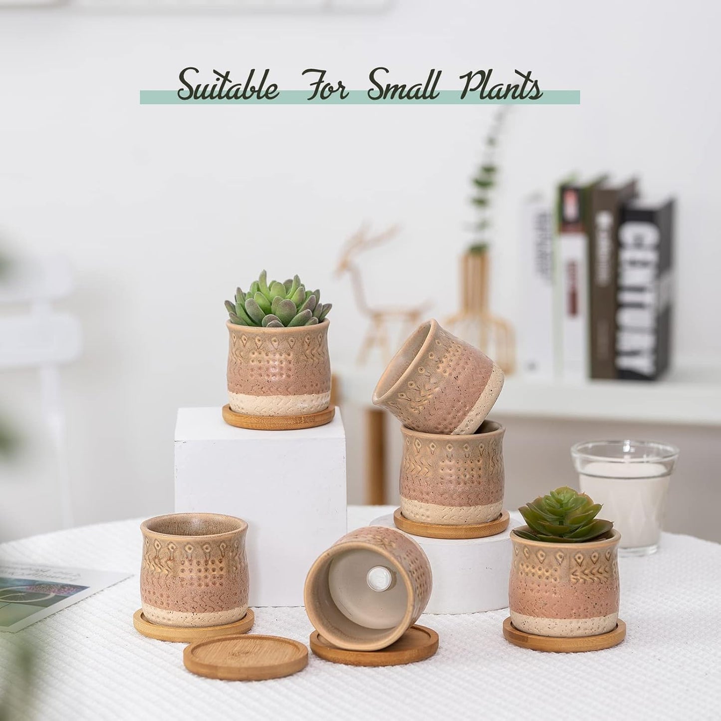 2.75 Inch Mini Ceramic Succulent Plant Pots, Retro Tiny Planter Pots with Saucer & Drainage Hole, for Cactus, Small Plants, Set of 6, Brown Beige