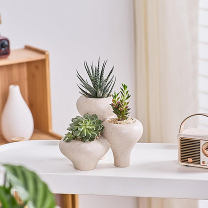 Beige Sandstone 3-In-1 Small Succulent Pots, Indoor Succulent Planters, Cute Cactus Bonsai Flowers Pots for Home Decor, Office, Garden Mini Cactus Plant Pot Modern Decorative, Gift