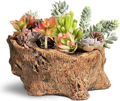 Driftwood Stump Log Concrete Planter/Succulent Pot/Plant Pot, 8.4L X 4.5W