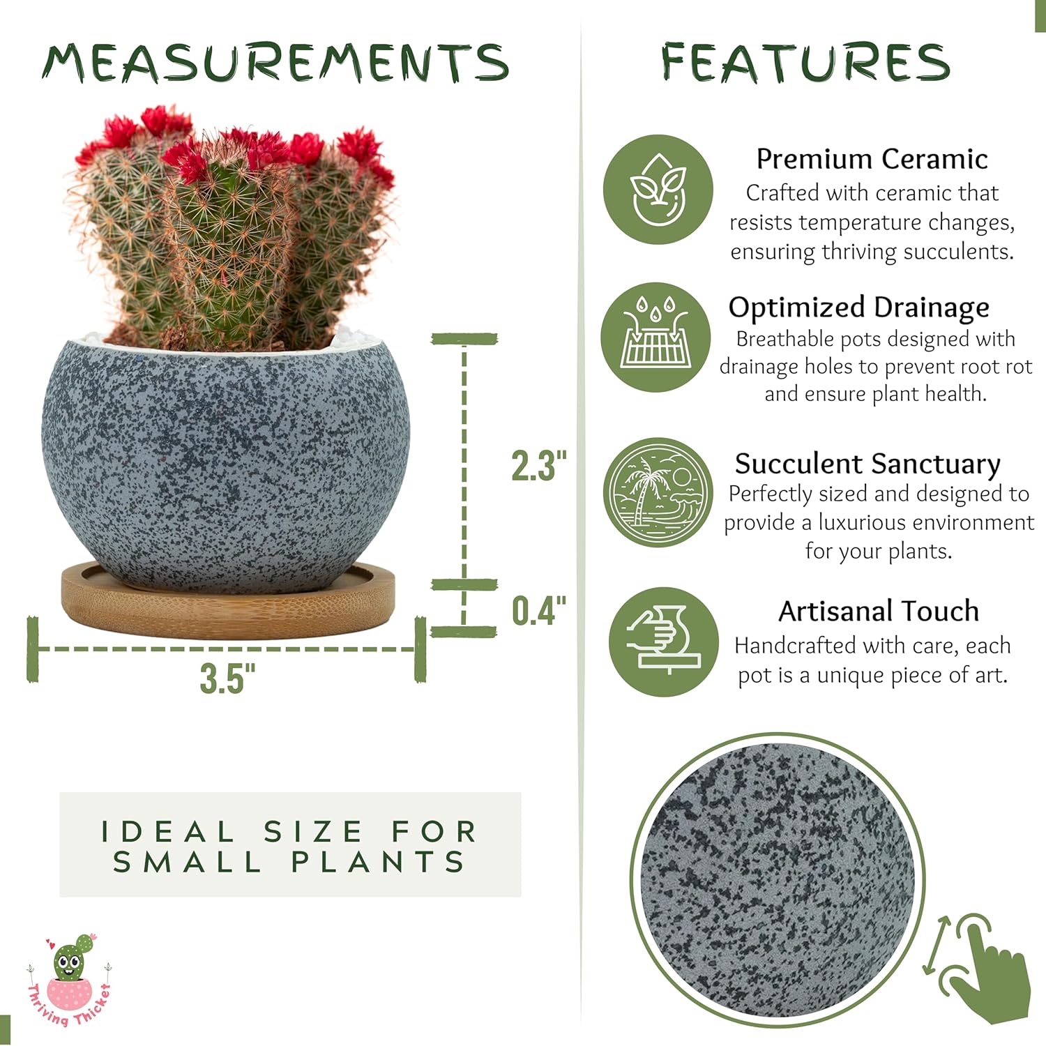 3 Inch Ceramic Pots for Plants, Small Succulent Pots Set with Drainage, 6 Pack Flower Pot for Indoor Plant, Decorative Planters for Little or Mini Cactus