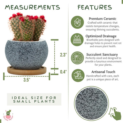 3 Inch Ceramic Pots for Plants, Small Succulent Pots Set with Drainage, 6 Pack Flower Pot for Indoor Plant, Decorative Planters for Little or Mini Cactus