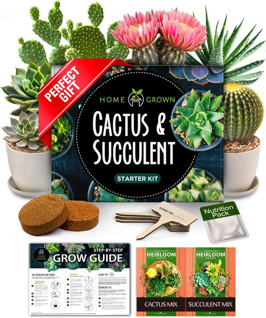 Succulent & Cactus Seed Kit for Planting – Premium Starter Kit with 4 Planters, Drip Trays, Markers, Seed Mix, and Soil - Perfect DIY Gift for Plant Enthusiasts