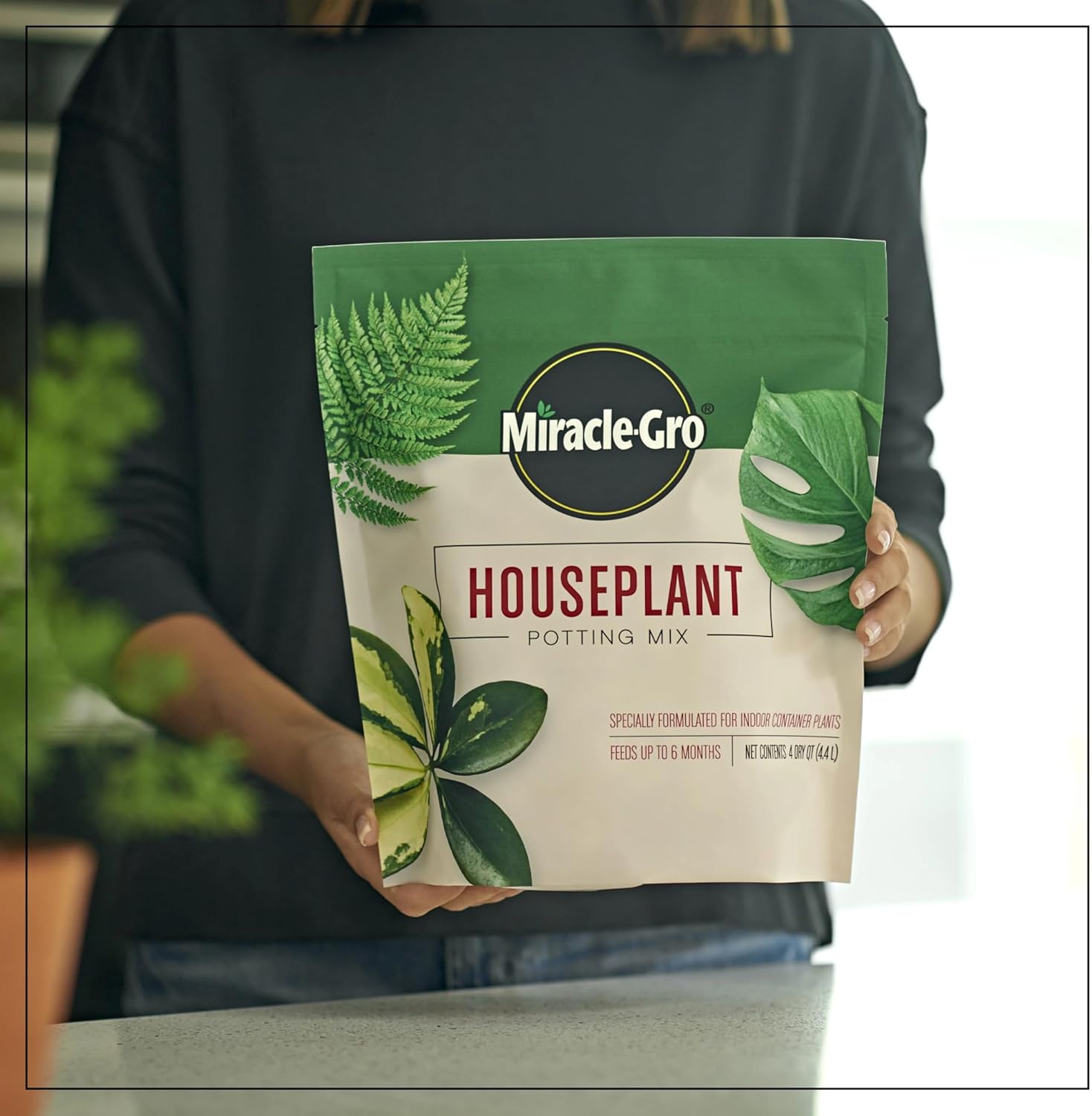 Houseplant Potting Mix: Fertilized, Perlite Soil for Indoor Gardening, Designed to Be Less Prone to Gnats, 4 Qt.