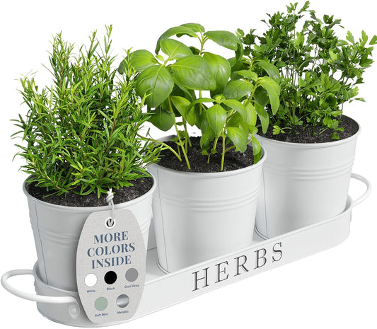 Indoor Herb Garden Planter Set with Tray, Metal Windowsill Plant Pots with Drainage for Outdoor or Indoor Plants, Set/3 (White)